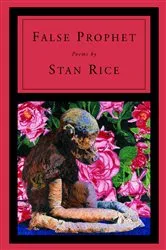 Book cover of False Prophet by Stan Rice