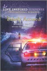 Book cover of Falsely Accused by Robert K. Tanenbaum