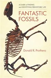 Book cover of Fantastic Fossils by Donald R. Prothero