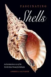 Book cover of Fascinating Shells by Andreia Salvador