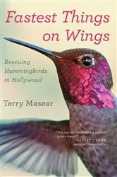 Book cover of Fastest Things on Wings by Terry Masear