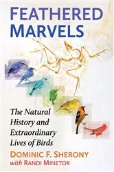 Book cover of Feathered Marvels by Dominic F. Sherony