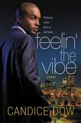 Book cover of Feelin' the Vibe by Candice Dow