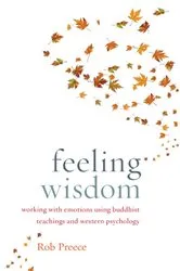 Book cover of Feeling Wisdom by Rob Preece