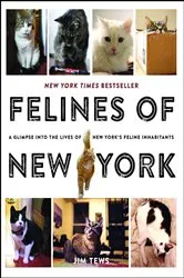 Book cover of Felines of New York by Jim Tews