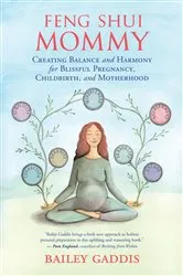 Book cover of Feng Shui Mommy by Bailey Gaddis