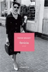 Book cover of Fenicia by Pierre Brunet