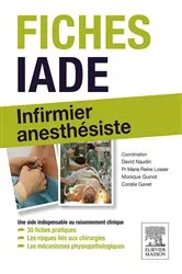 Book cover of Fiches IADE by David Naudin
