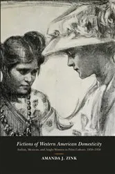 Book cover of Fictions of Western American Domesticity by Amanda J. Zink