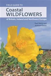 Book cover of Field Guide to Coastal Wildflowers of Britain, Ireland and Northwest Europe by Paul Sterry