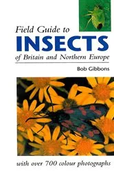 Book cover of FIELD GUIDE TO INSECTS OF BRITAIN AND NORTHERN EUROPE by Bob Gibbons
