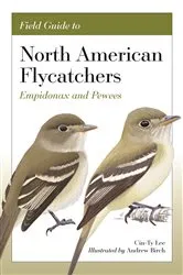 Book cover of Field Guide to North American Flycatchers by Cin-Ty Lee