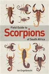 Book cover of Field Guide to Scorpions of South Africa by Ian Engelbrecht