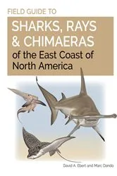 Book cover of Field Guide to Sharks, Rays and Chimaeras of the East Coast of North America by David A. Ebert