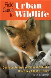 Book cover of Field Guide to Urban Wildlife by Julie Feinstein