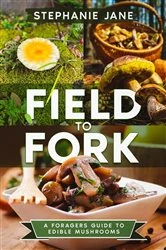Book cover of 
