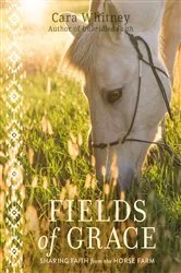 Book cover of Fields of Grace by Kim Vogel Sawyer
