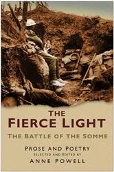 Book cover of Fierce Light by Robert Powell