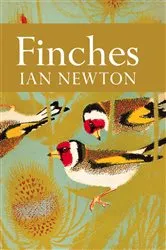Book cover of Finches by Ian Newton