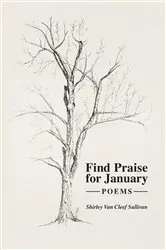 Book cover of Find Praise for January by Shirley Van Cleef Sullivan