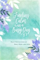 Book cover of Finding Calm in a Busy Day by Abingdon