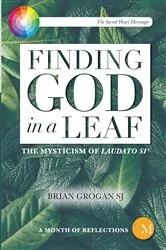 Book cover of Finding God in a Leaf by Brian Grogan