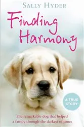 Book cover of Finding Harmony by Eric Walters