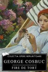 Book cover of Fire de tort by George Cosbuc