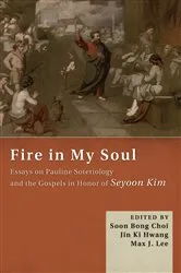 Book cover of Fire in My Soul by Joan Steinau Lester