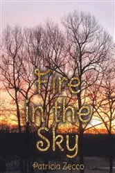 Book cover of Fire in the Sky by Amos Amir