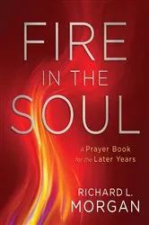 Book cover of Fire in the Soul by Richard L. Morgan