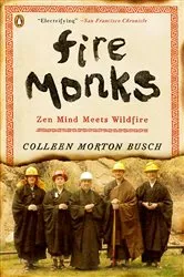 Book cover of Fire Monks by Colleen Morton Busch