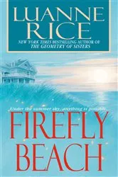 Book cover of Firefly Beach by Unknown