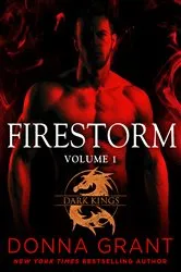 Book cover of Firestorm: Volume 1 by Unknown