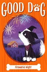Book cover of Fireworks Night by Cam Higgins