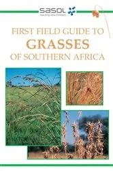 Book cover of First Field Guide to Grasses of Southern Africa by Gideon Smith
