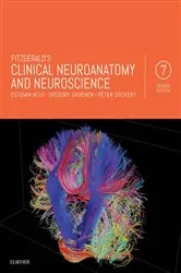 Book cover of Fitzgerald's Clinical Neuroanatomy and Neuroscience E-Book (7th ed.) by Estomih Mtui MD