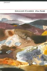 Book cover of Five Fields by Unknown
