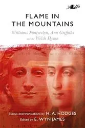 Book cover of Flame in the Mountains by E. Wyn James