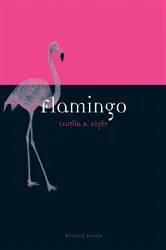 Book cover of Flamingo by Rachel Elliott