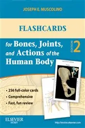 Book cover of Flashcards for Bones, Joints, and Actions of the Human Body - E-Book (2nd ed.) by Joseph E. Muscolino DC
