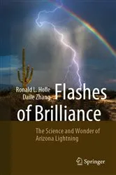 Book cover of Flashes of Brilliance by Ronald L. Holle