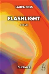 Book cover of Flashlight by Susan Choi