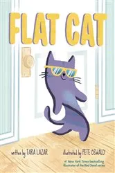 Book cover of Flat Cat by Tara Lazar