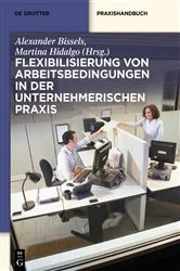 Book cover of Flexibilisierung von Arbeitsbedingungen in der unternehmerischen Praxis by Unknown