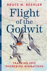 Book cover of Flight of the Godwit by Bruce M. Beehler