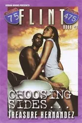 Book cover of Flint Book 1: by Unknown