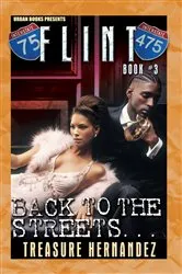 Book cover of Flint Book 3: by Unknown
