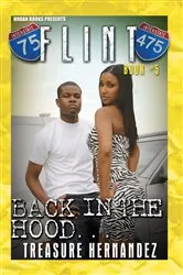 Book cover of Flint Book 5: by Unknown