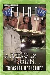 Book cover of Flint Book 6 by Unknown